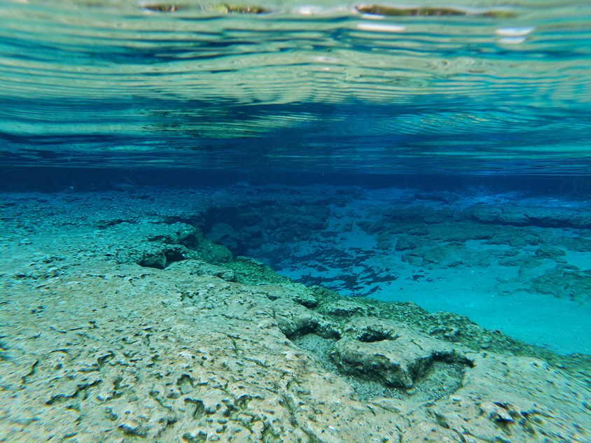 Geene Spring 37b Ginnie Spring – Florida Springs Institute