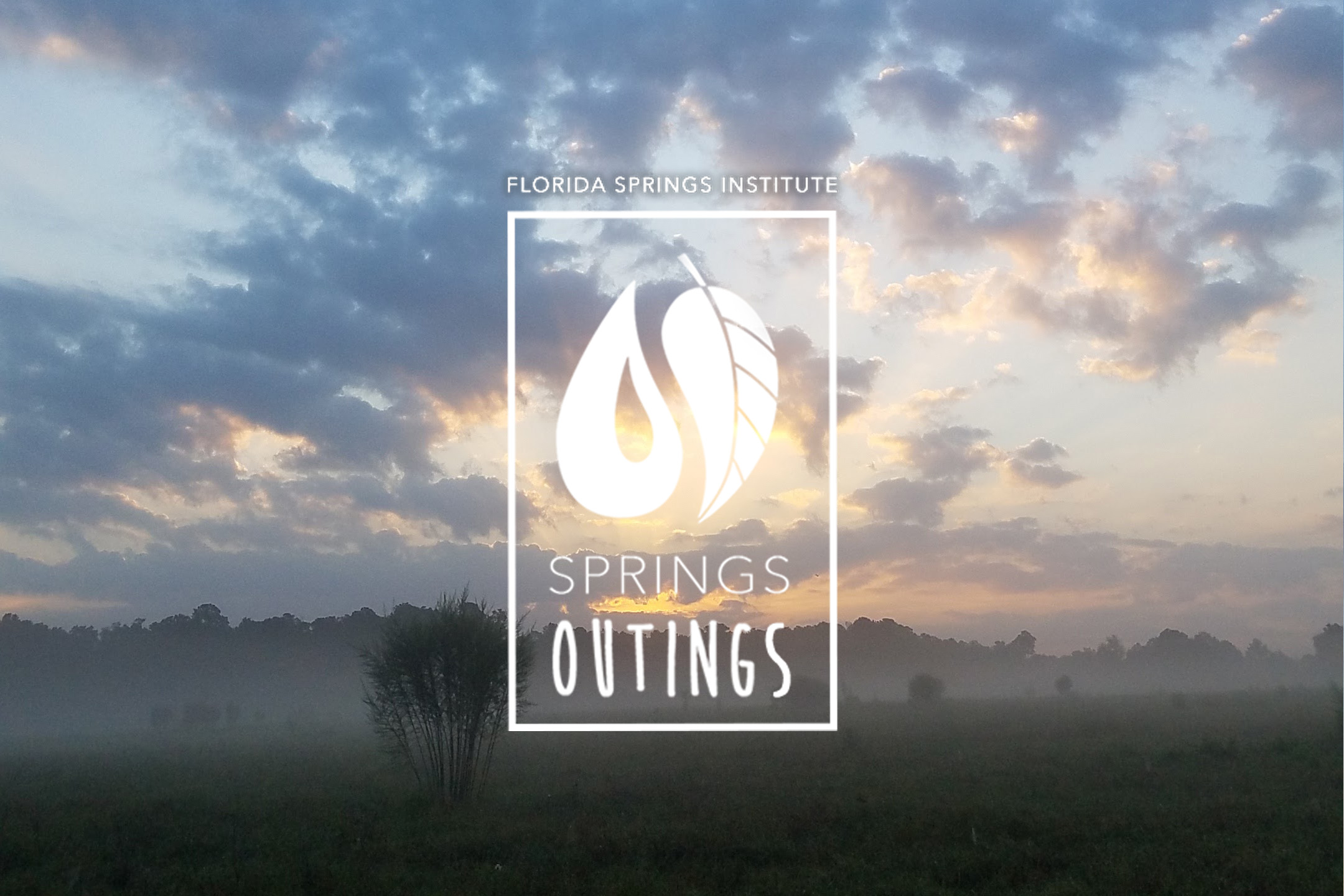 Springs Outing: Secrets of San Felasco Hammock – Florida Springs Institute